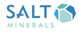 Unternehmens-Logo von SALT Minerals GmbH